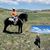 Jose G Holguin's profile image