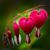 Edie Mary Offhaus's profile image
