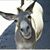 James Clark's profile image