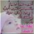 سلامة احمد's profile image