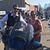 Tracy Ficco-Brown's profile image