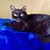 Courtney Hargrove Gourley's profile image