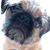 Nicole Tee's profile image