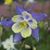 Ginny Smiley's profile image
