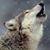 David Bravener's profile image