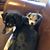 Sue Yoder's profile image
