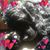 Tillie Landis's profile image