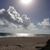Sharon Cataldo Freitas's profile image
