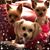 Joy Ankeny Creson's profile image