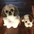Carol Ethel's profile image