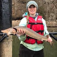 Emily Collins's profile image