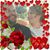Nelva Caldera's profile image