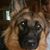 Sharon Gaylord's profile image