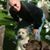 Ron Hank's profile image