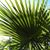 Renae Levine Wahl's profile image