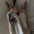Laura Boes Benjamin's profile image