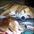 Ann McClain Bergstrom's profile image