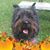 Anne Osterby's profile image