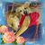 Stephanie Carter's profile image
