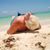 Mariola Klitsch's profile image