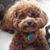 Valarie Ford's profile image