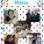 Maria Cutrone Esposito's profile image