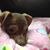 Kimberly Stepleton Brown's profile image