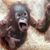 Alex Rozell's profile image