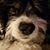 Sandy Bretl's profile image