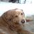 Colleen Hoffman Green's profile image