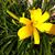 Shirley Jones's profile image