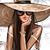 Diana Cisneros-Aranda's profile image