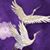 Alison Saiki's profile image