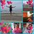 Tracy Clark's profile image