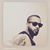 Marco Sousa Lobo's profile image