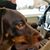 Marilyn Ann Meiss Seago's profile image