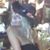 Pamela Barnes's profile image