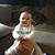 Sean Rivetti's profile image