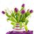 Linda Webb's profile image