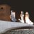 Theresa D'Onofrio's profile image