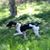 Bev Willis's profile image