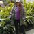 Cammie Sublett's profile image