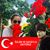 Yesim Parlar's profile image