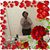 Shirley Haynes's profile image