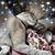 Nancy Newman Romanczuk's profile image