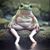 Kristy Holt's profile image