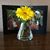 Cindy Nagel Knauer's profile image