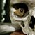 David Reader's profile image