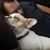 Tracy Smith's profile image