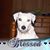 Loretta McCullen Hofsaess's profile image